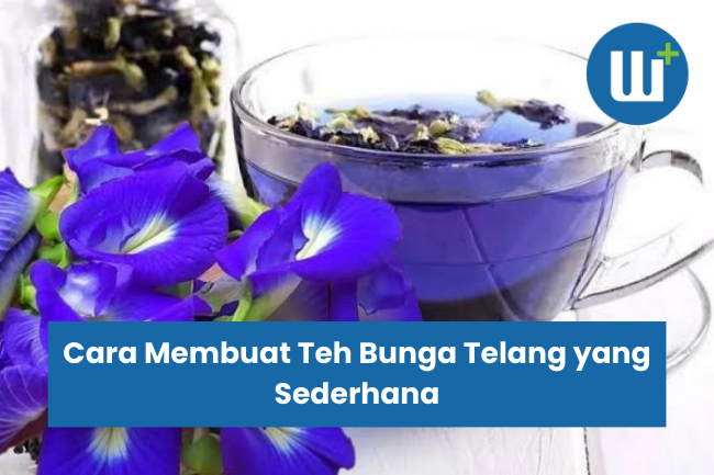 Cara Membuat Teh Bunga Telang yang Sederhana